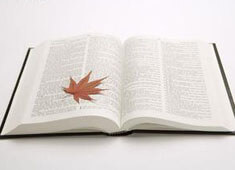 开云体育PC版网页版登录-乌迪内斯客场表现低迷，遭遇惨败