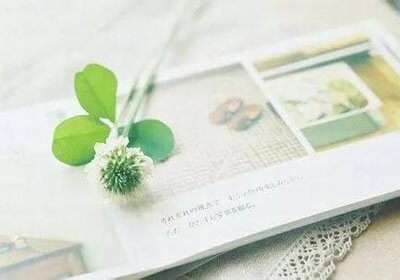 开云体育app官网入口-瓜布拉班班多员，结同盾严反已——一则关于信任与守护的现代寓言