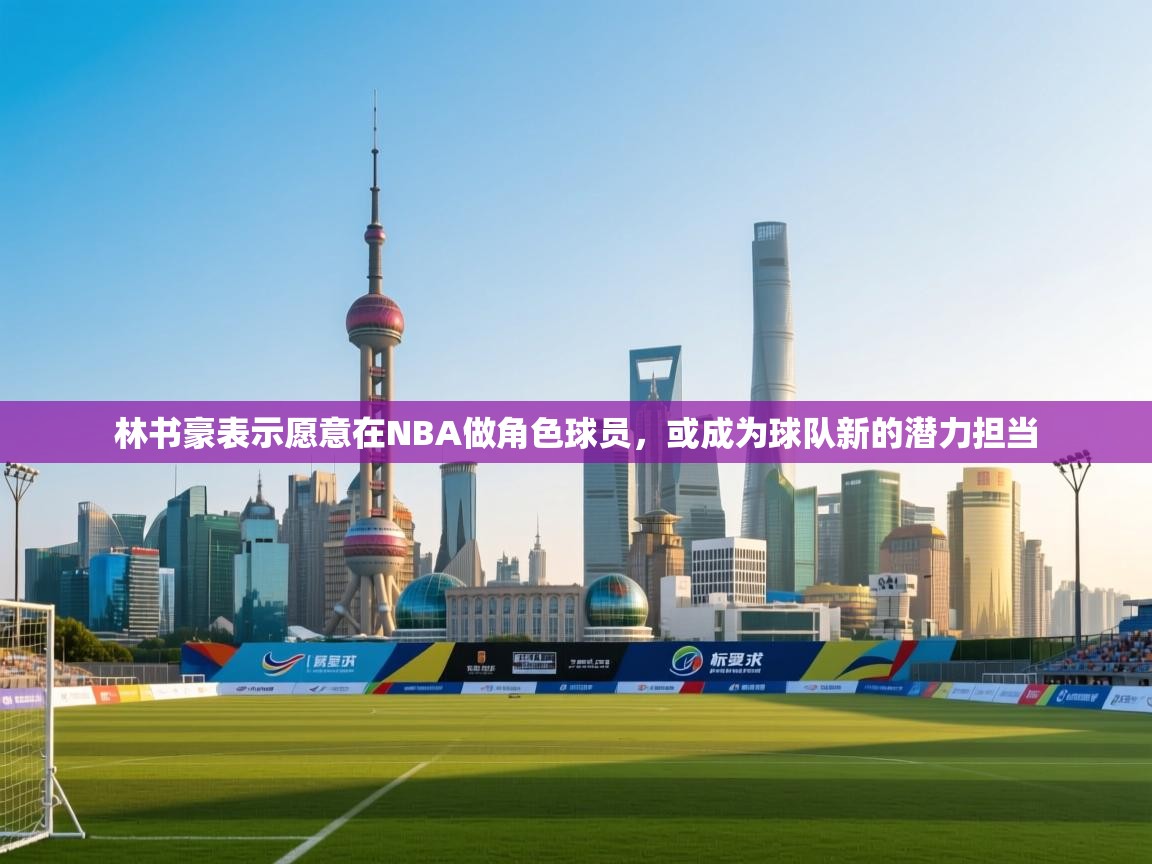 开云体育在线入口-林书豪表示愿意在NBA做角色球员,或成为球队新的潜力担当  第3张