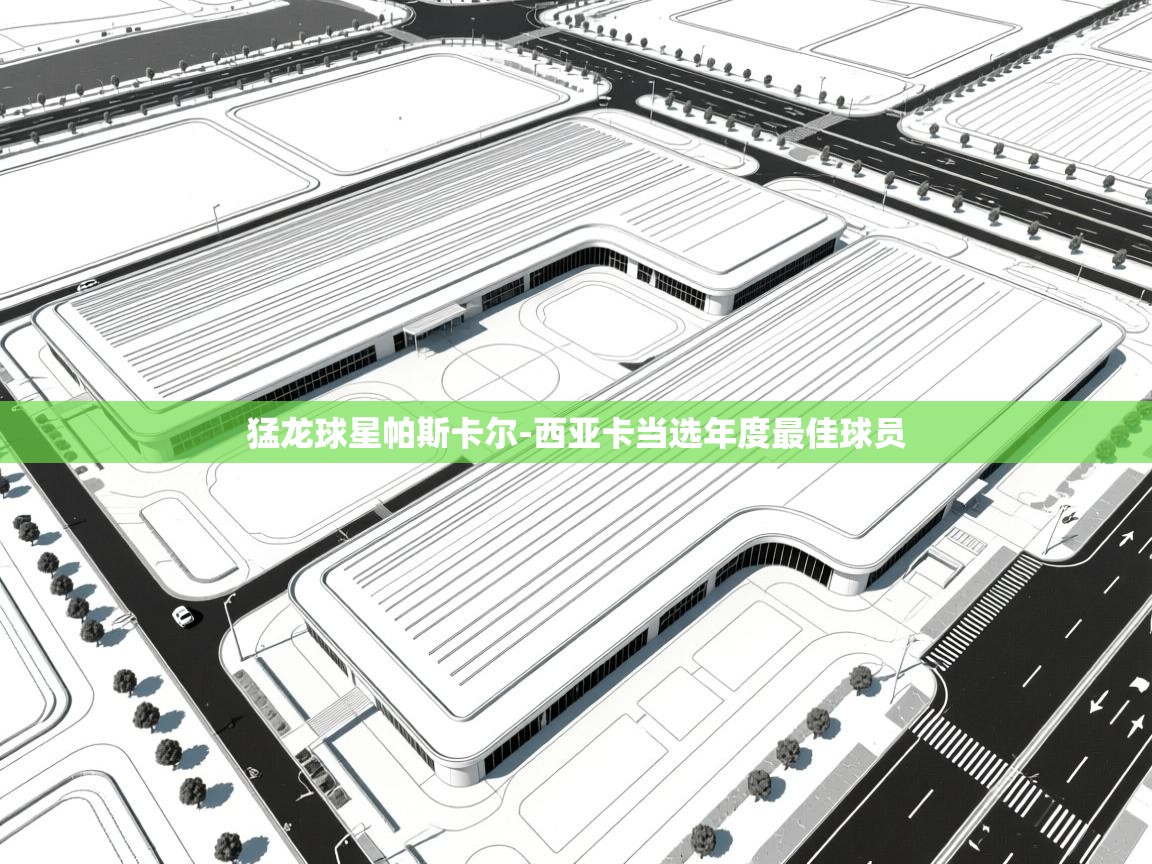 云开官网-猛龙球星帕斯卡尔-西亚卡当选年度最佳球员 第2张