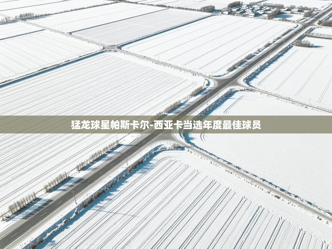 云开官网-猛龙球星帕斯卡尔-西亚卡当选年度最佳球员 第3张