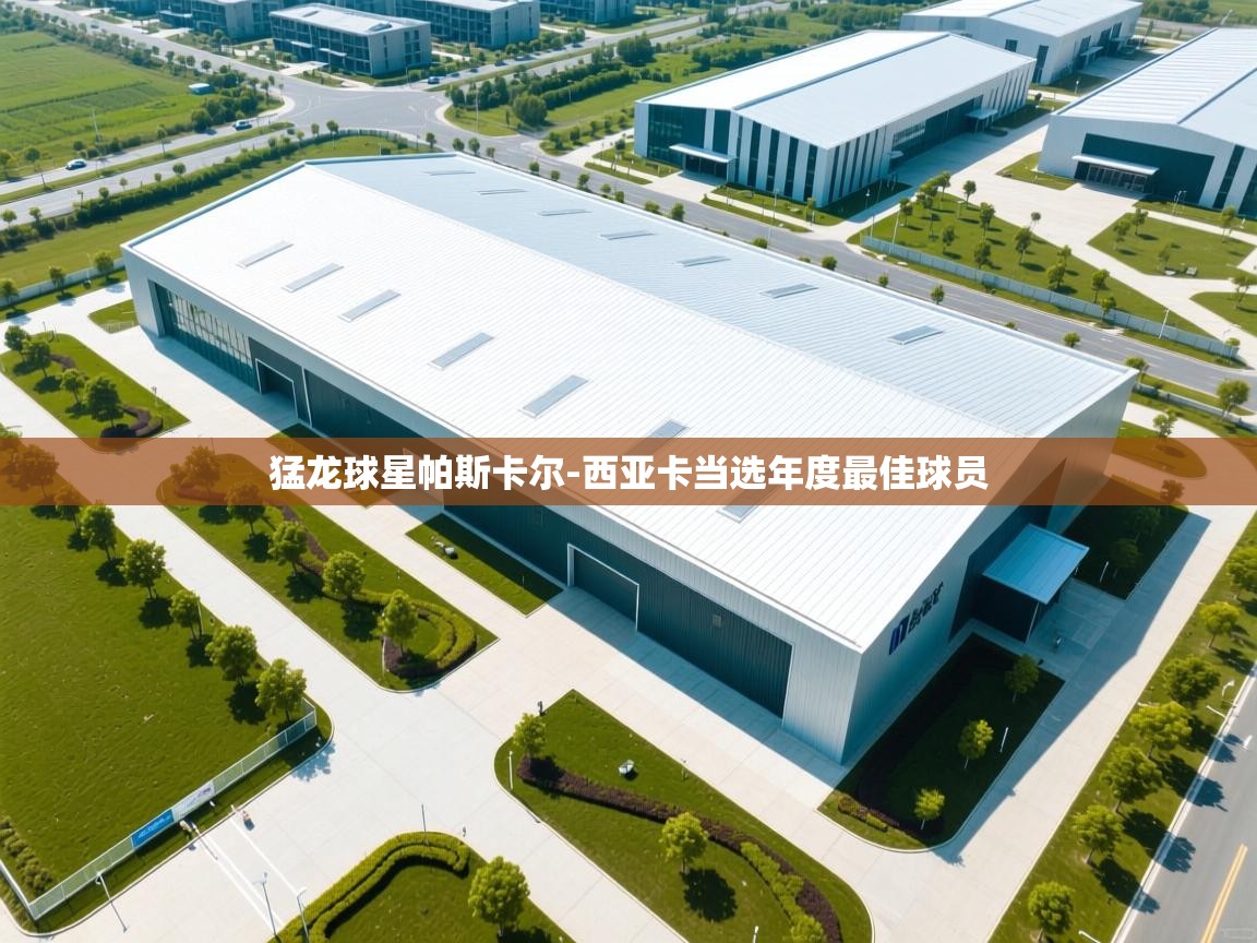 云开官网-猛龙球星帕斯卡尔-西亚卡当选年度最佳球员 第4张