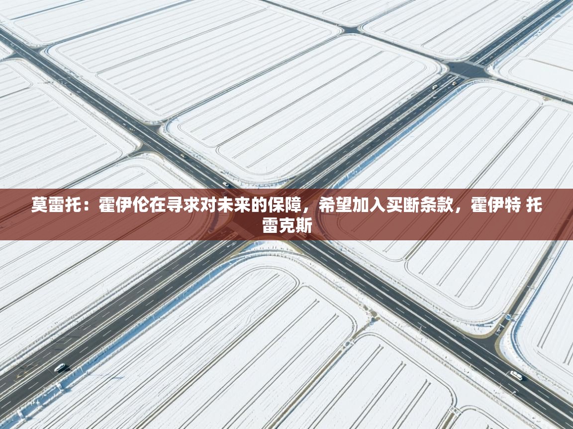 开云体育版本更新日志2025-莫雷托：霍伊伦在寻求对未来的保障，希望加入买断条款，霍伊特 托雷克斯  第3张