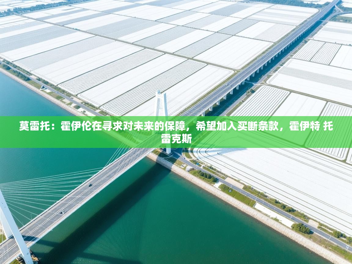 开云体育版本更新日志2025-莫雷托：霍伊伦在寻求对未来的保障，希望加入买断条款，霍伊特 托雷克斯  第4张