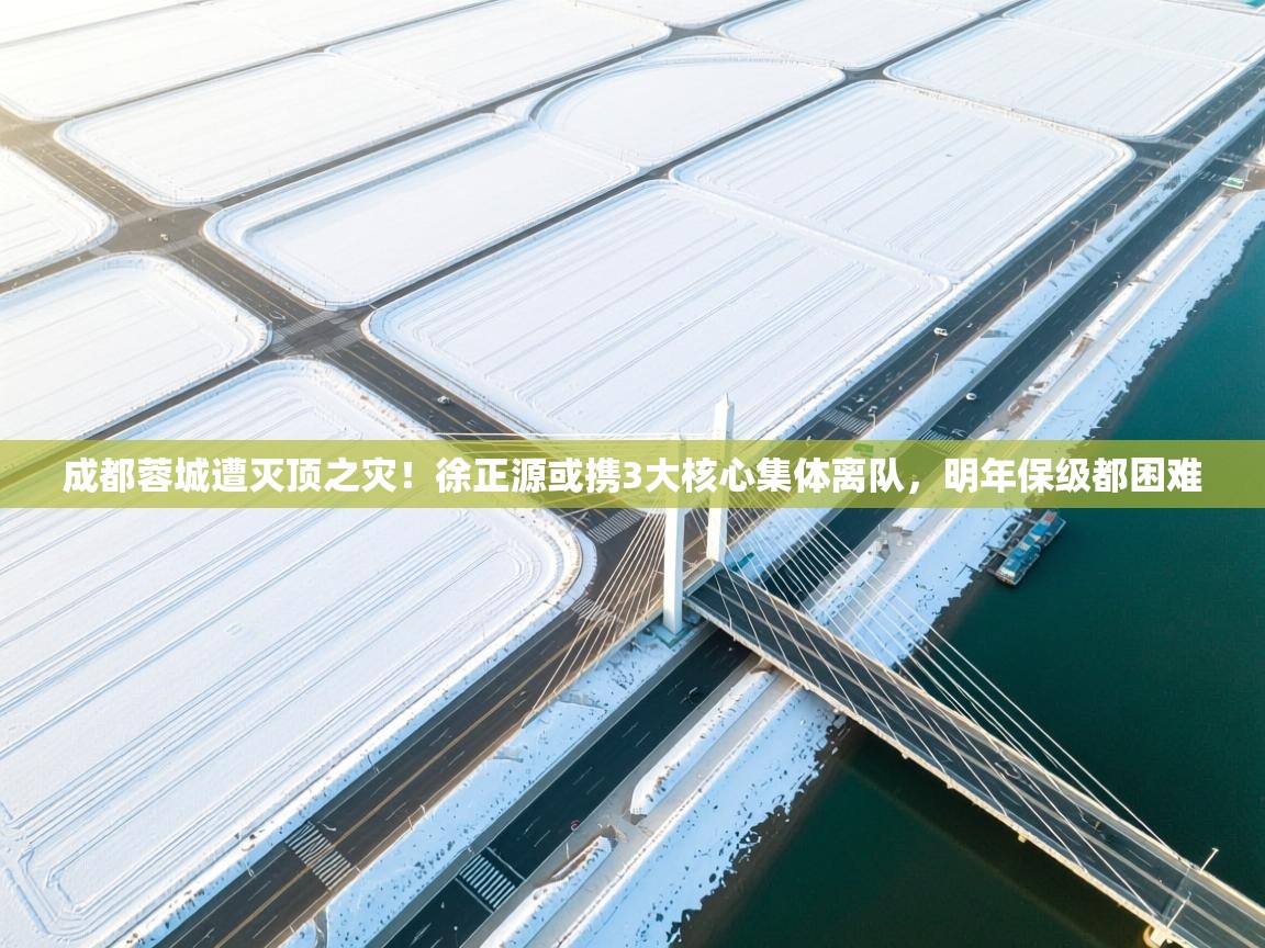 开云体育入口注册-成都蓉城遭灭顶之灾!徐正源或携3大核心集体离队,明年保级都困难 第2张