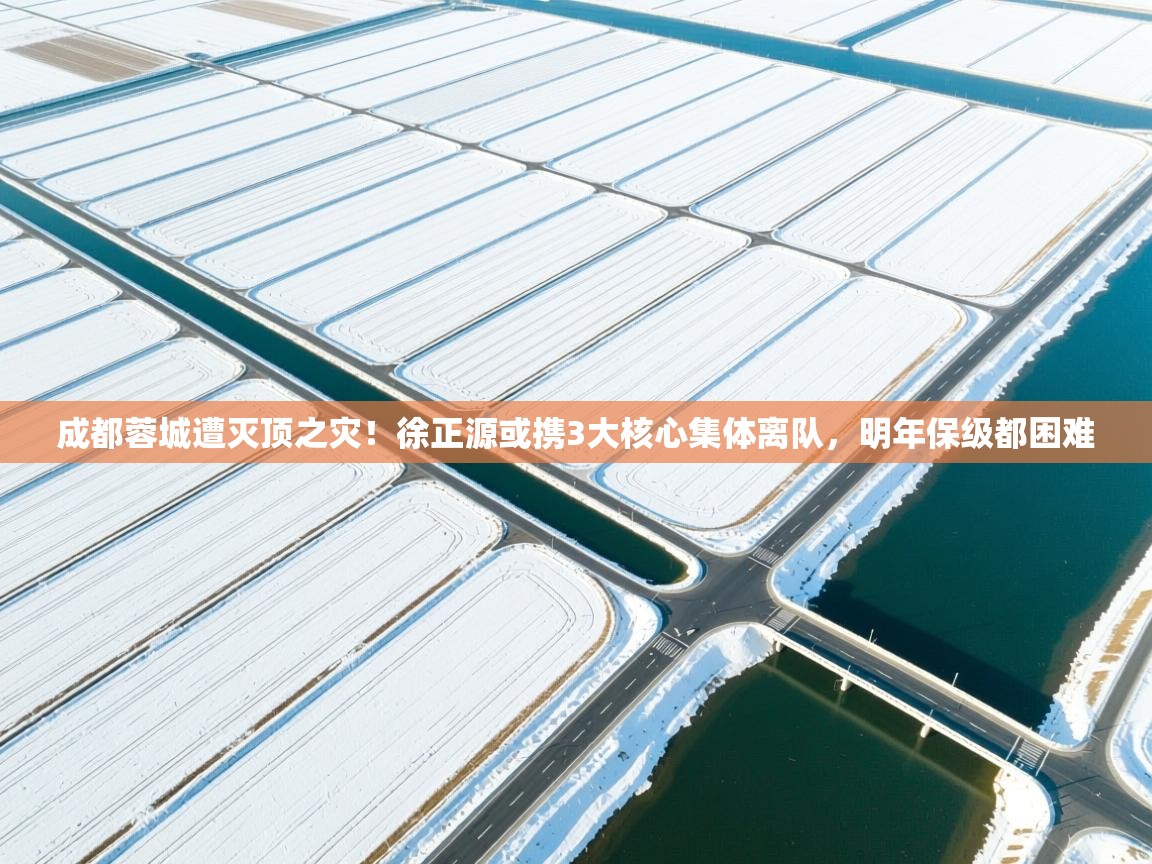 开云体育入口注册-成都蓉城遭灭顶之灾!徐正源或携3大核心集体离队,明年保级都困难 第4张