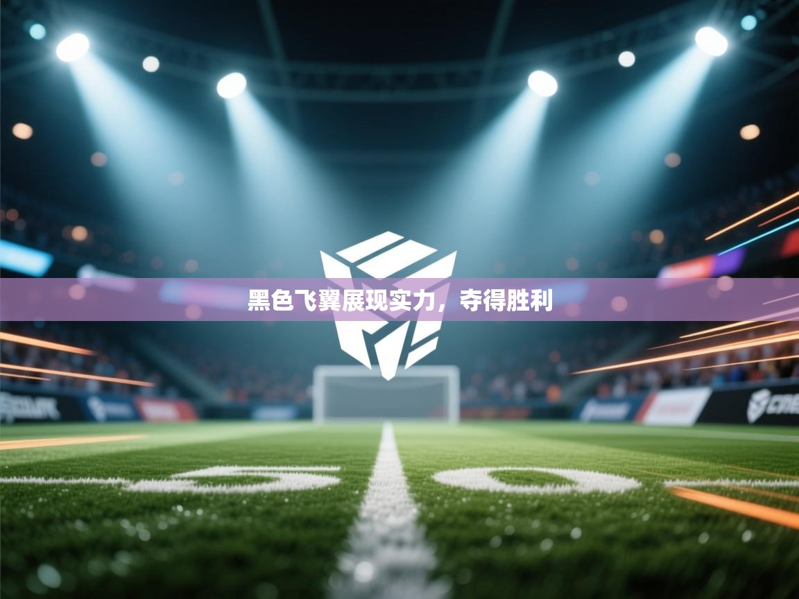 开云体育登录入口-黑色飞翼展现实力，夺得胜利  第4张