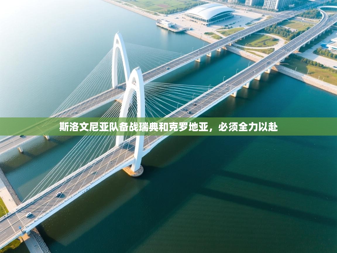 云开体育app网页版入口-斯洛文尼亚队备战瑞典和克罗地亚，必须全力以赴  第3张