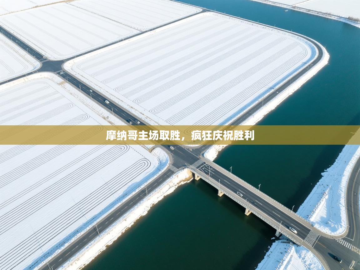 开云手机版-摩纳哥主场取胜，疯狂庆祝胜利  第1张