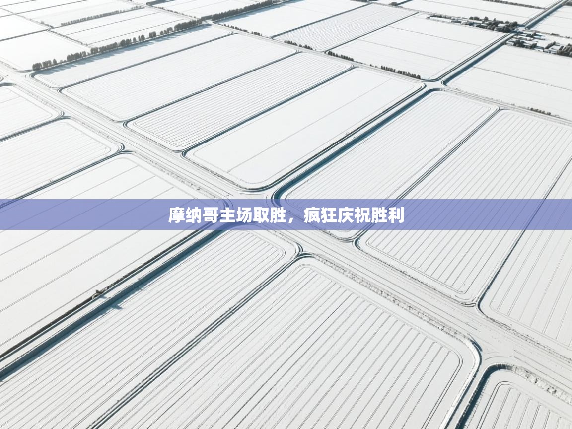 开云手机版-摩纳哥主场取胜，疯狂庆祝胜利  第2张