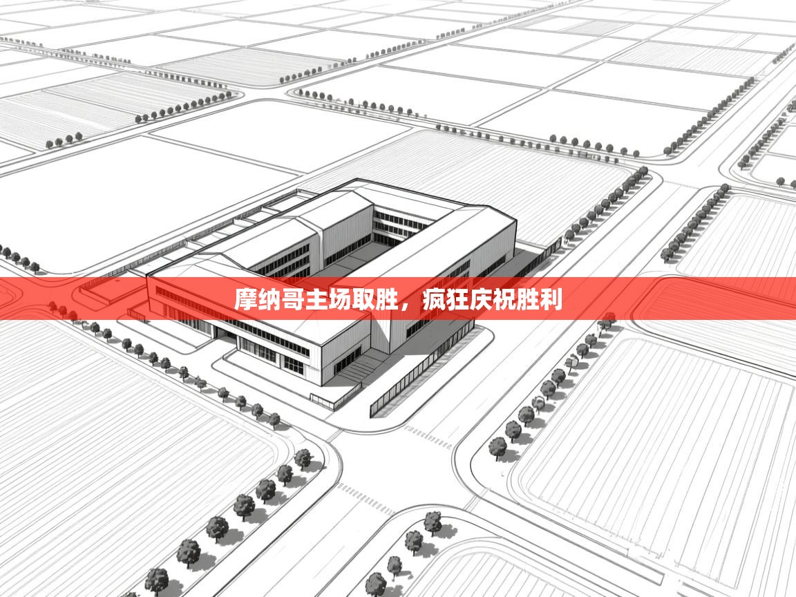 开云手机版-摩纳哥主场取胜，疯狂庆祝胜利  第3张