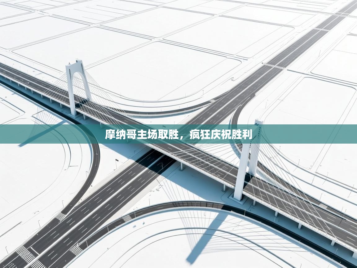 开云手机版-摩纳哥主场取胜，疯狂庆祝胜利  第4张