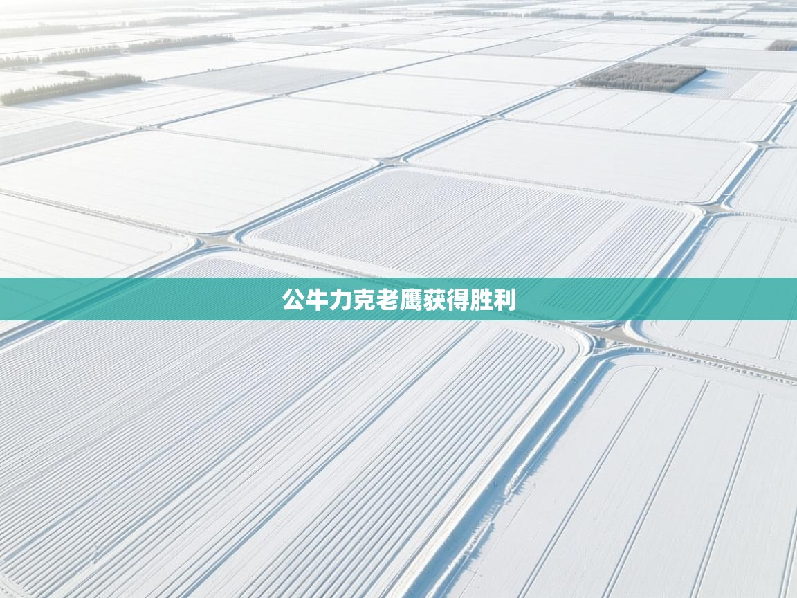 开云体育PC版网页版登录-公牛力克老鹰获得胜利