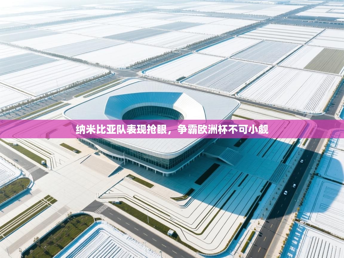 开云体育旧版下载地址-纳米比亚队表现抢眼,争霸欧洲杯不可小觑 第2张