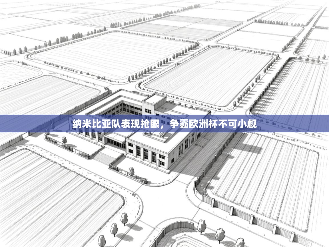 开云体育旧版下载地址-纳米比亚队表现抢眼,争霸欧洲杯不可小觑 第3张