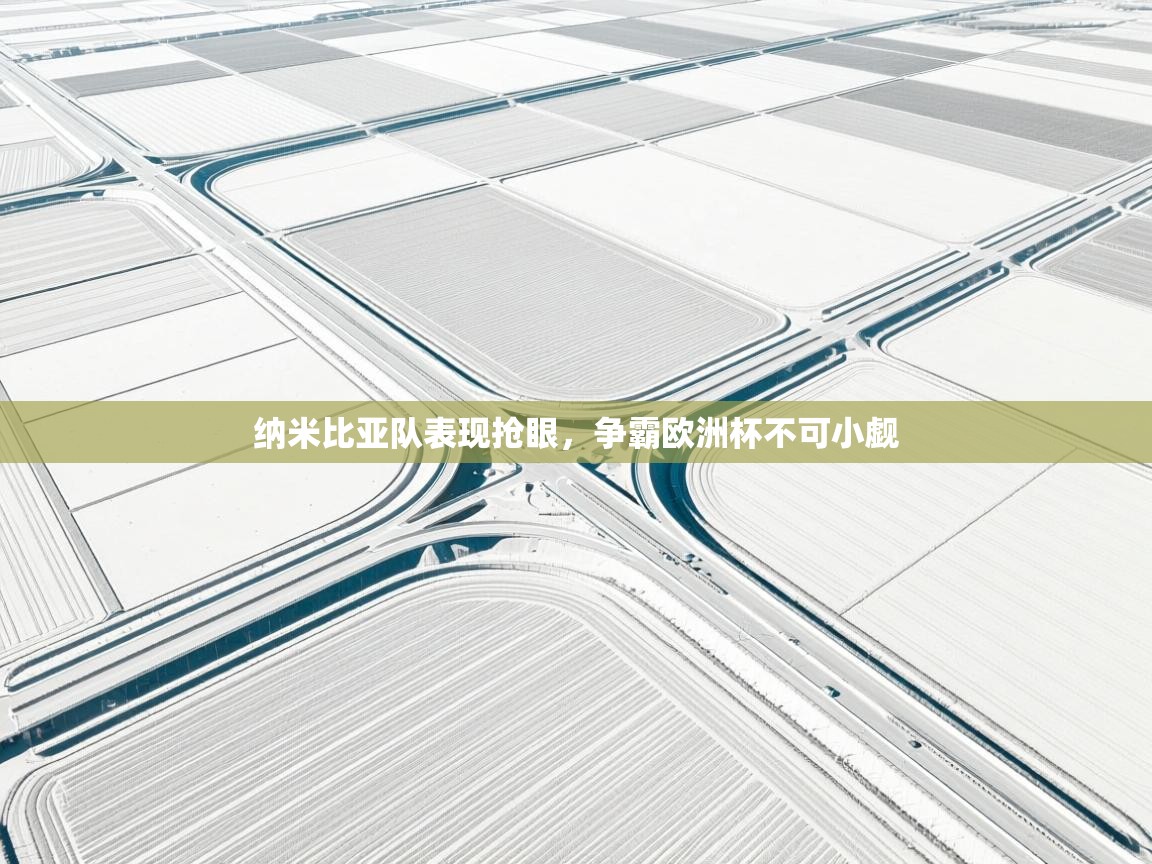 开云体育旧版下载地址-纳米比亚队表现抢眼,争霸欧洲杯不可小觑 第4张