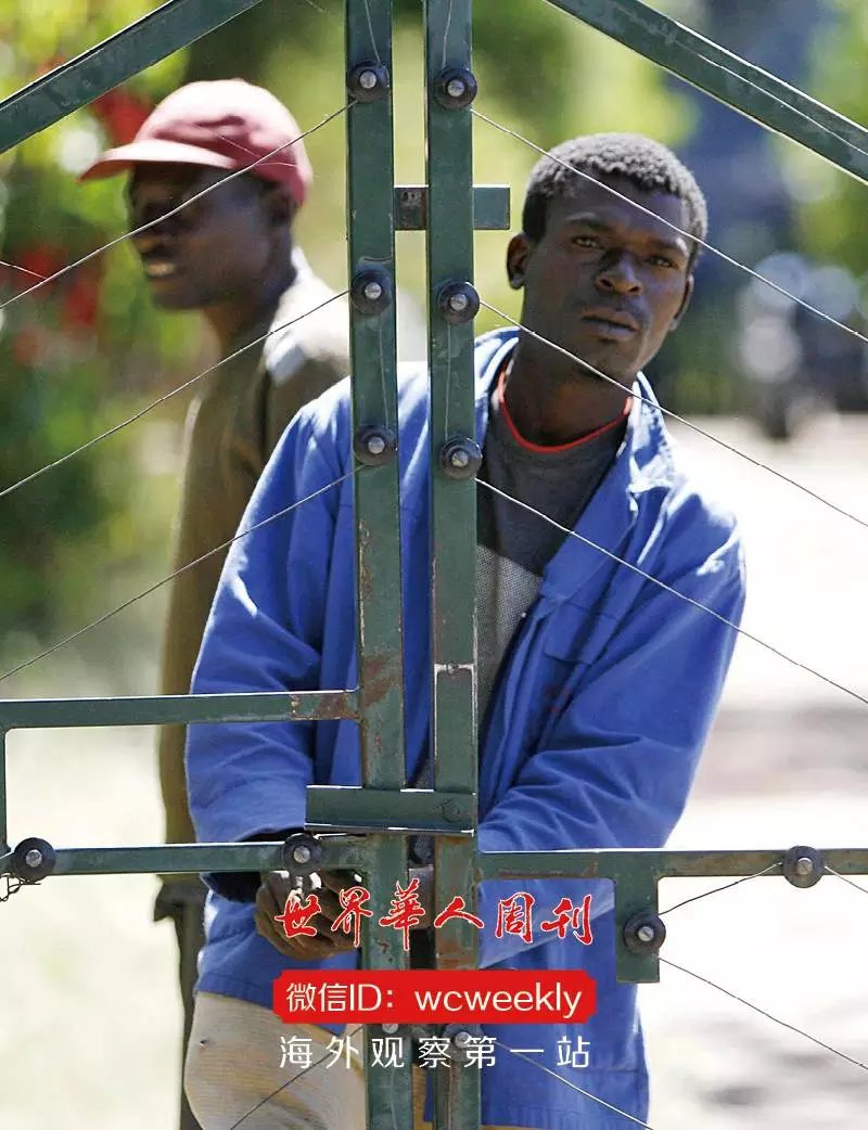 开云体育官方网站入口-包含津巴布韦篮球队备战非洲锦标赛的词条